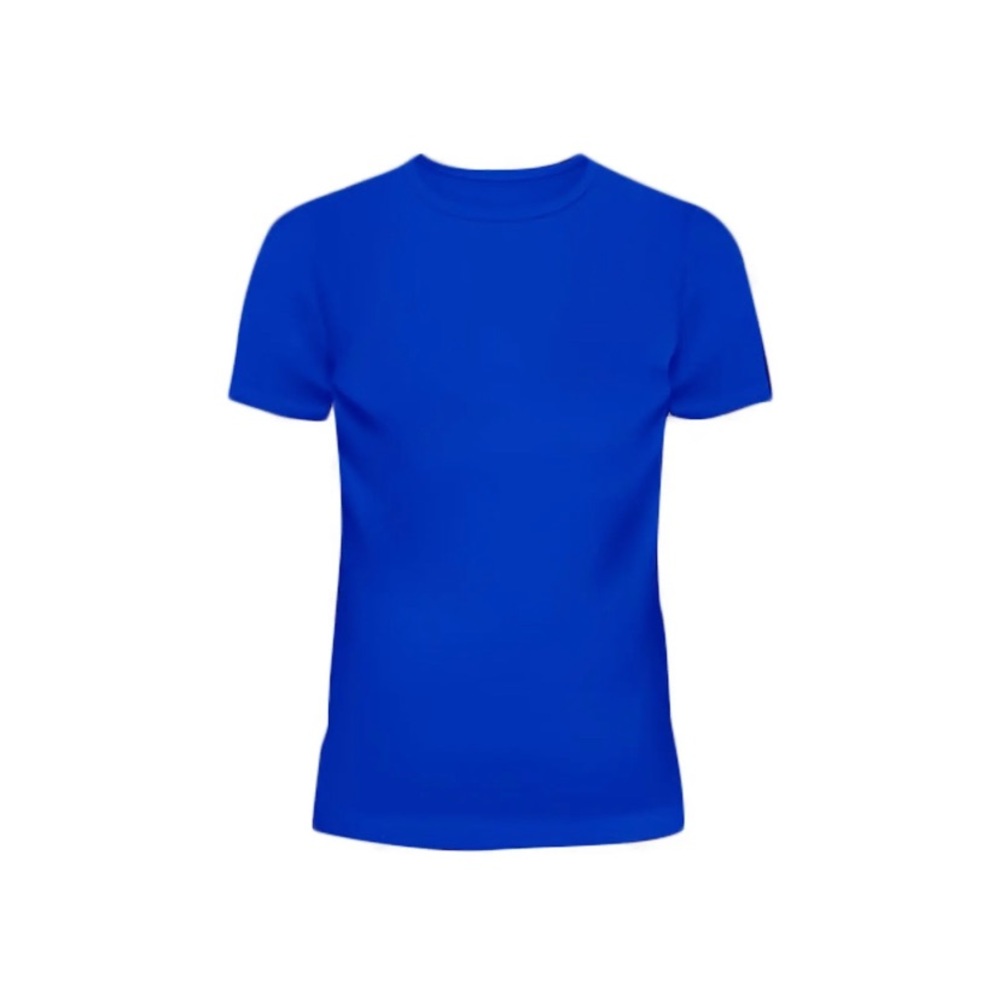 COPY - Mens T Shirt Blank Casual Wear Summer High Quality Shorts Sleeves Shirts…